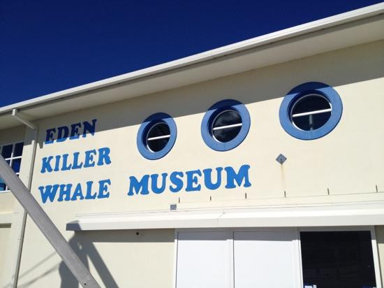 Killer Whale Museum-伊登港必去景点