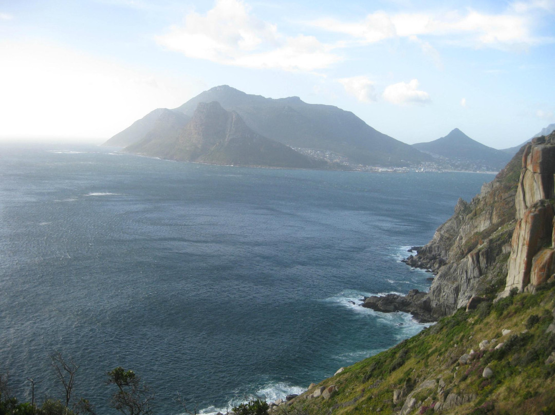 Bay Harbour Market-木湾必去景点