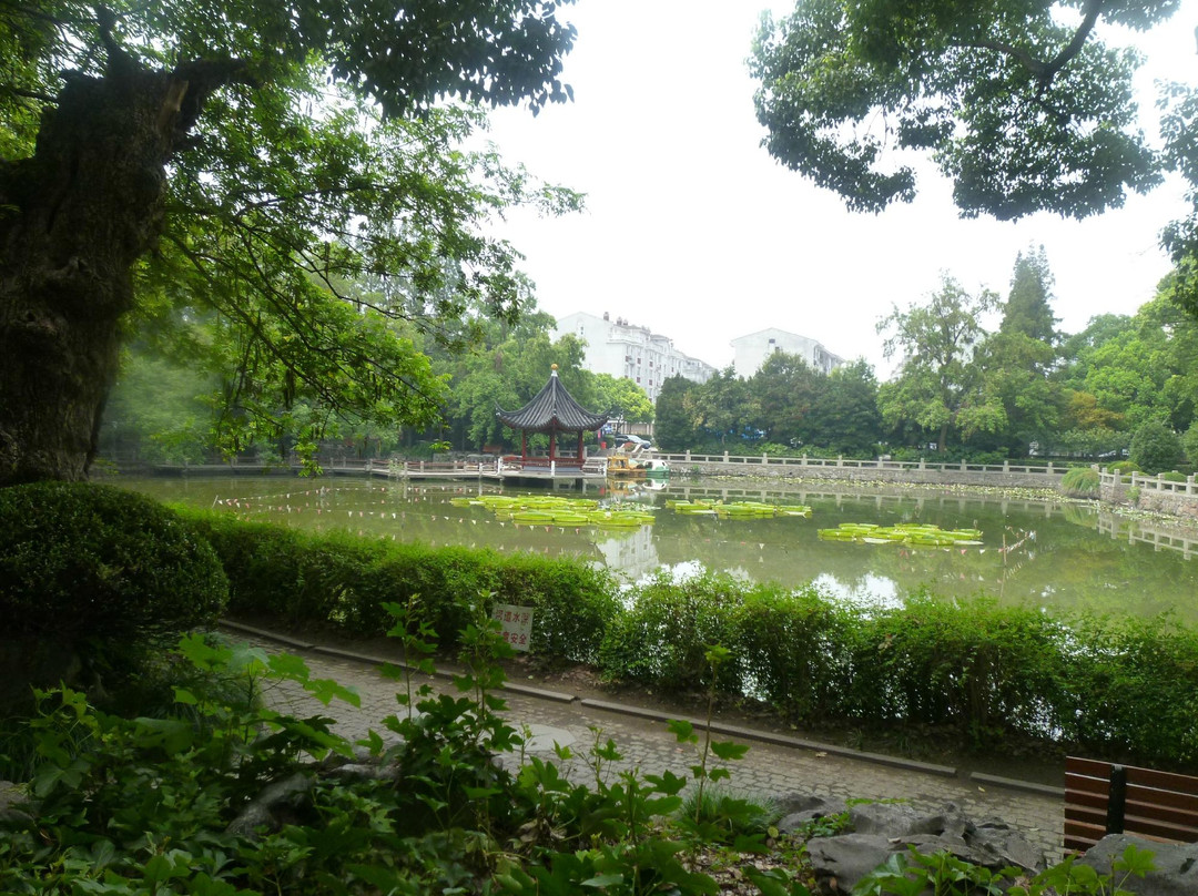 汇龙潭公园-上海市必去景点