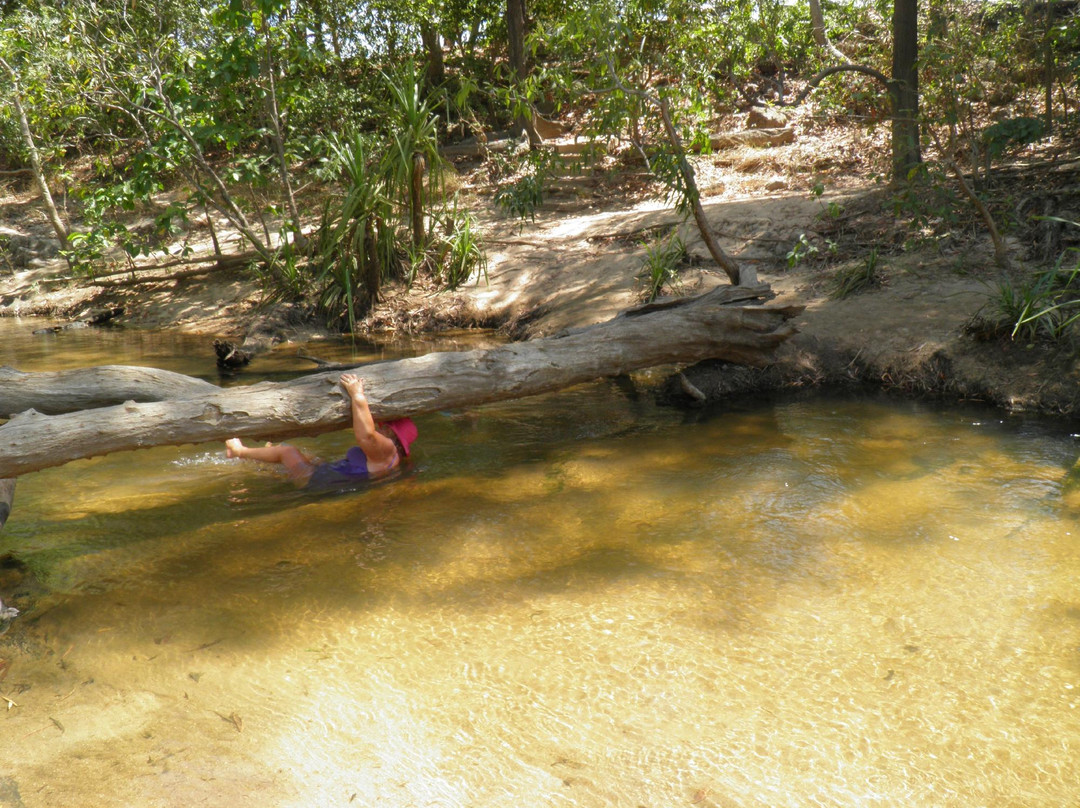Tjuwaliyn (Douglas) Hot Springs Park-Douglas-Daly必去景点