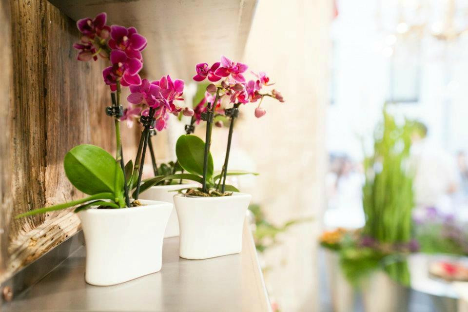 Bouquet Boutique -Fleuriste--San Daniele del Friuli必去景点
