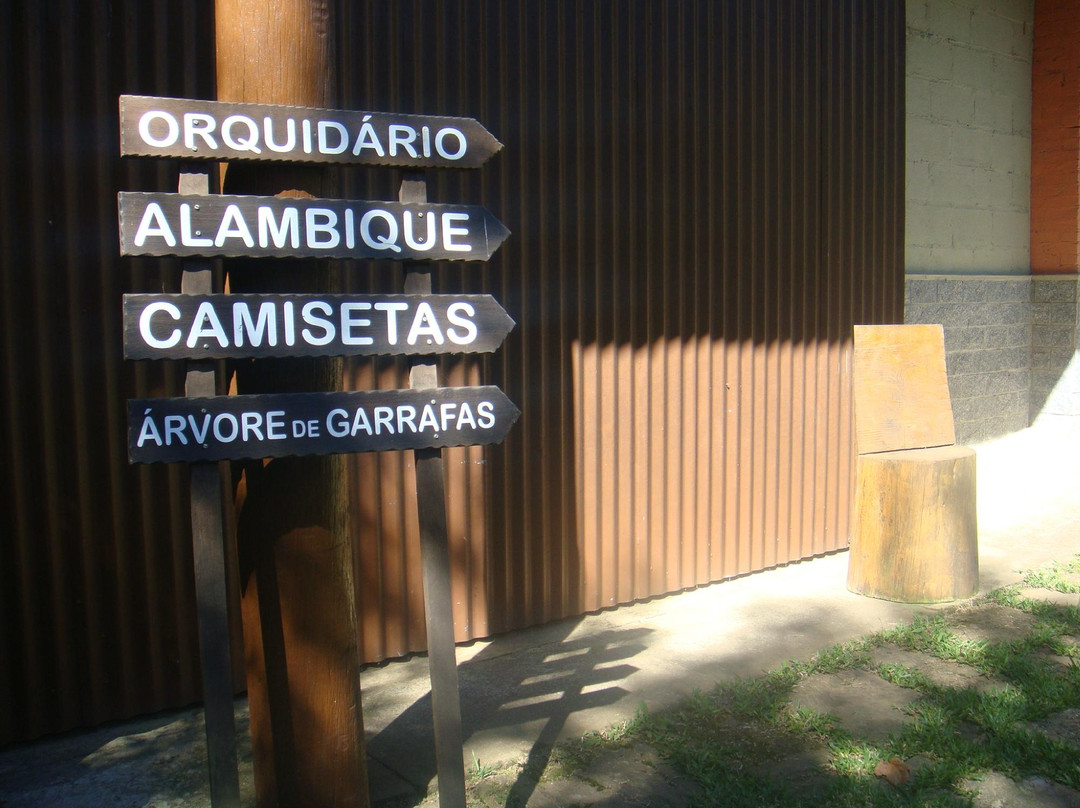 A Bodega-圣安东尼奥杜皮尼亚尔必去景点