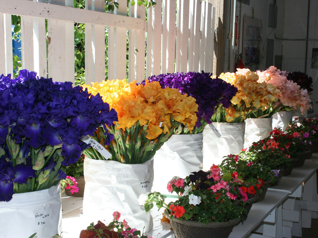 Schreiner's Iris Gardens-塞勒姆必去景点