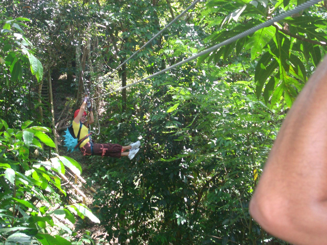 Floriham TreeTop Adventures-Canovanas必去景点