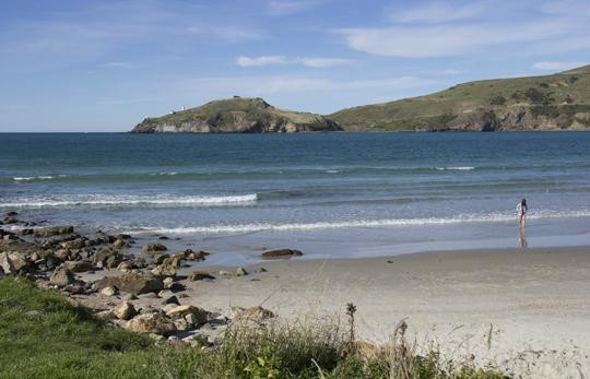 Aramoana Beach-但尼丁必去景点