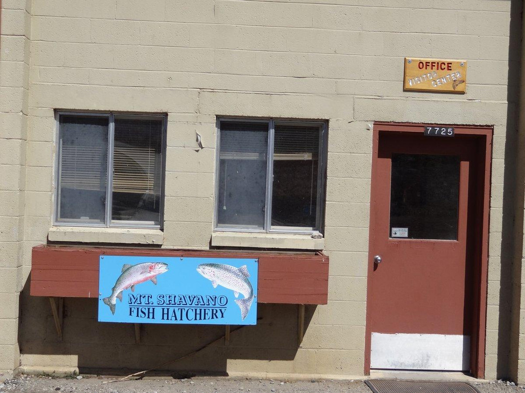 Mt. Shavano Fish Hatchery-萨利达必去景点