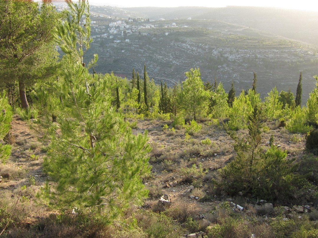 Muly, by Jerusalem ATV Adventure Tours-Ma'ale HaHamisha必去景点