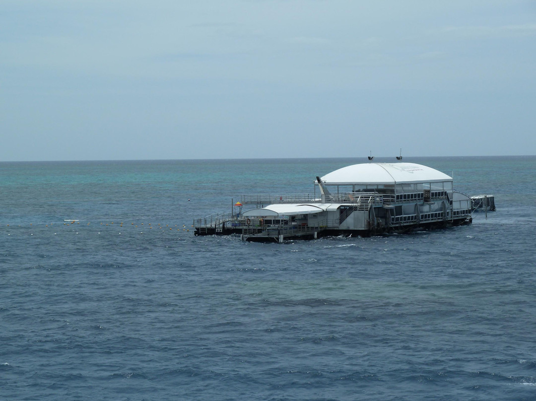 Quicksilver Cruises-道格拉斯港必去景点