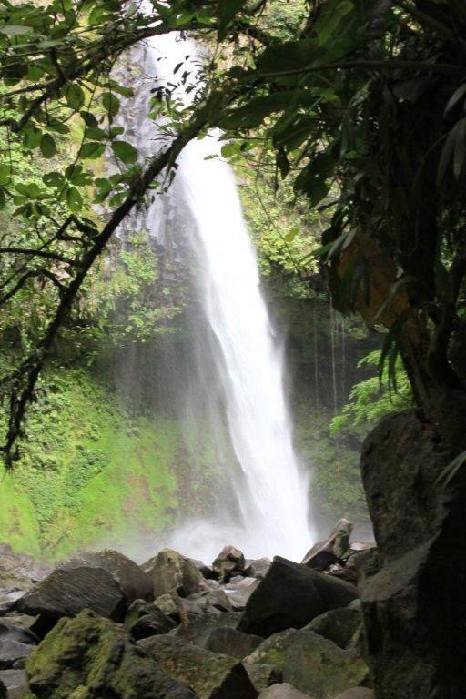 Jacamar Naturalist Tours-福德圣卡洛斯必去景点