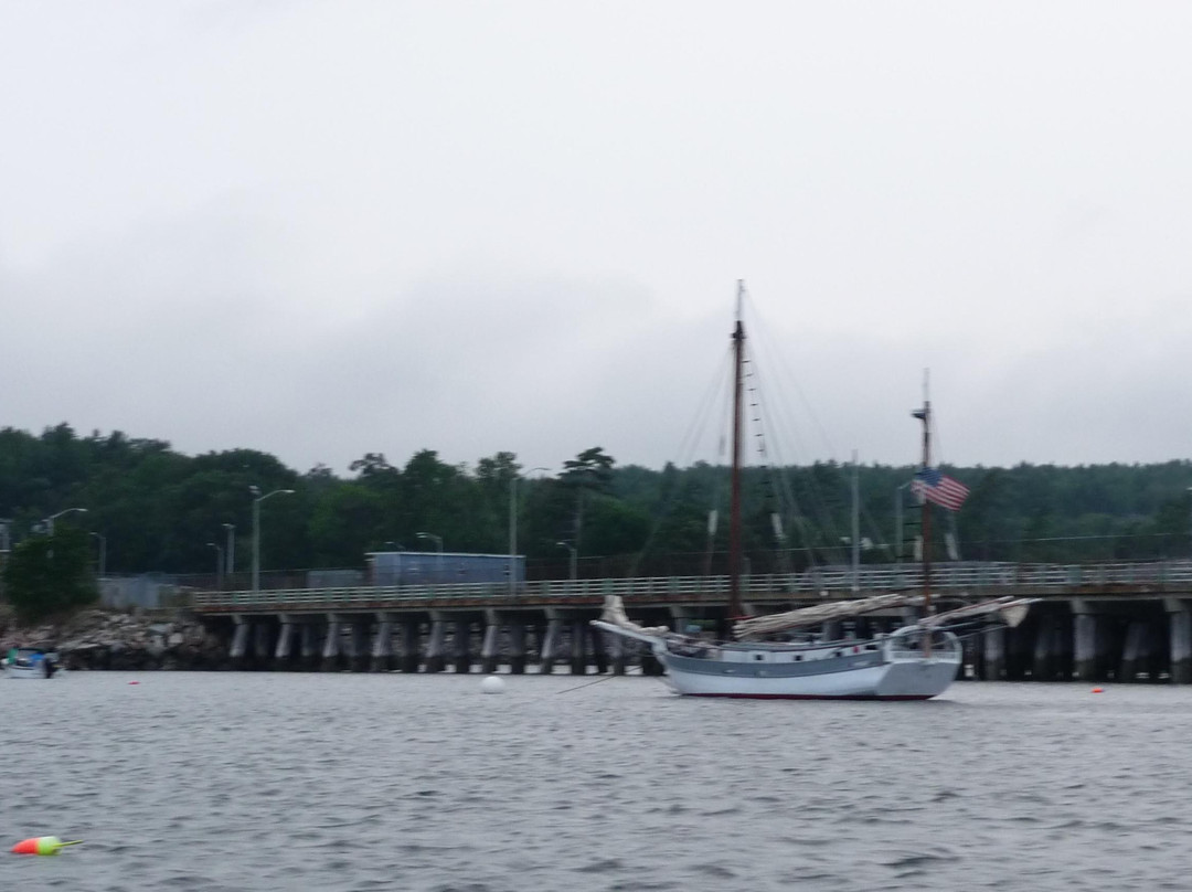 Acadia Sailing Company LLC-巴港必去景点