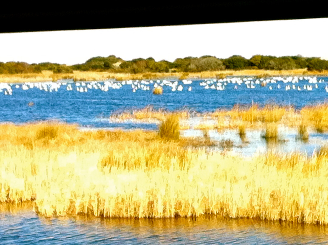 Back Bay National Wildlife Refuge景点图片