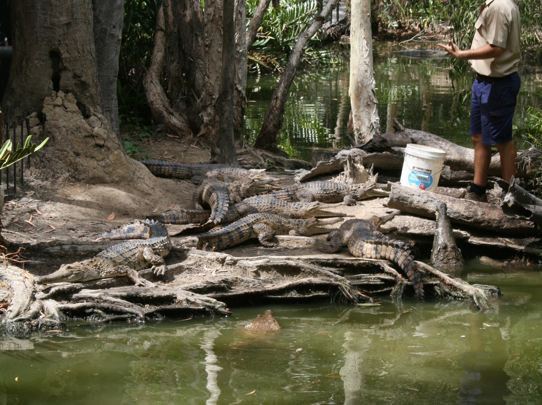 Hartley's Crocodile Adventures-Wangetti必去景点