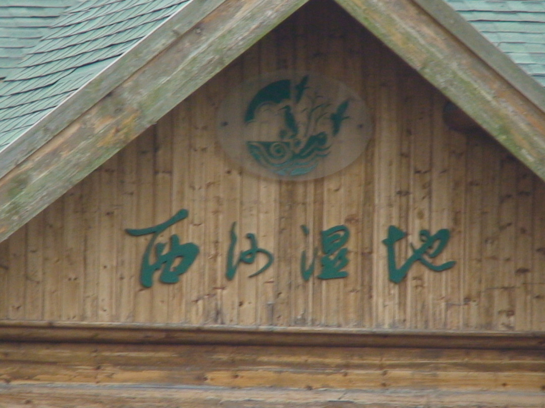 西沙湿地公园-崇明县必去景点