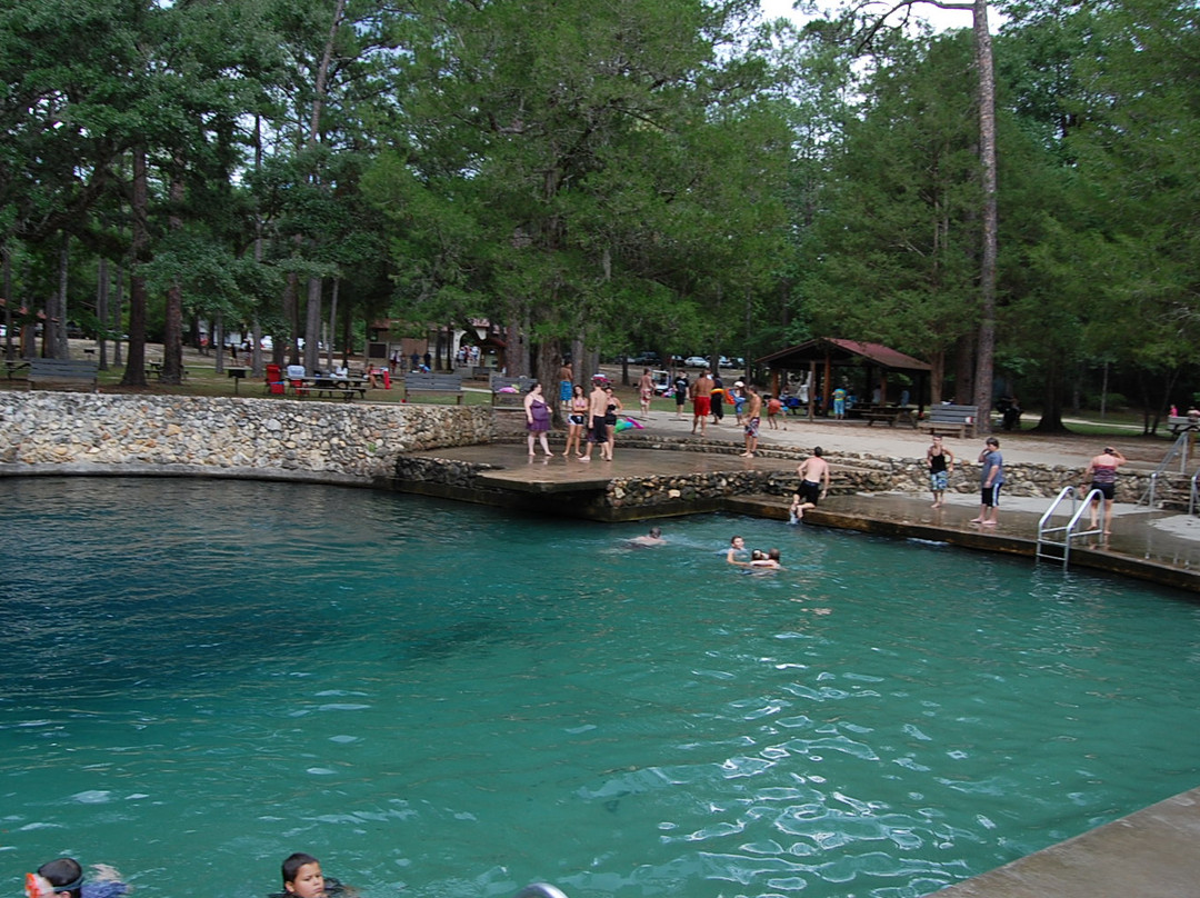 Ponce de Leon Springs State Park景点图片
