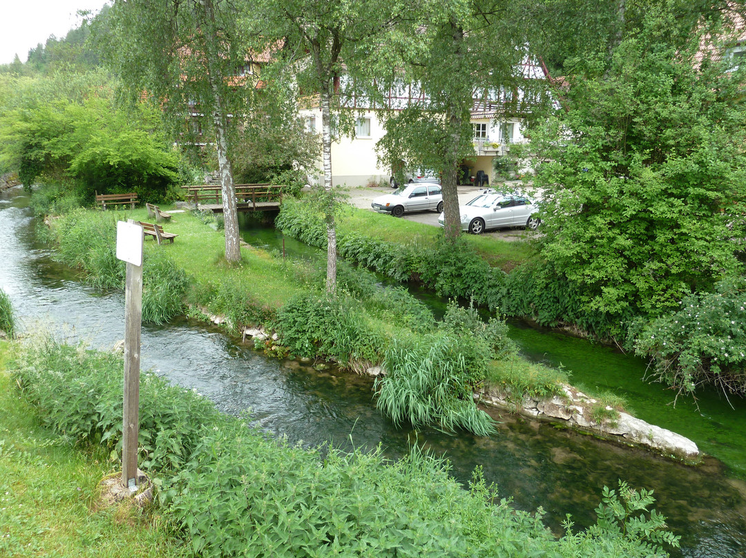 Obermarchtal酒店住宿-Hotel Wittstaig