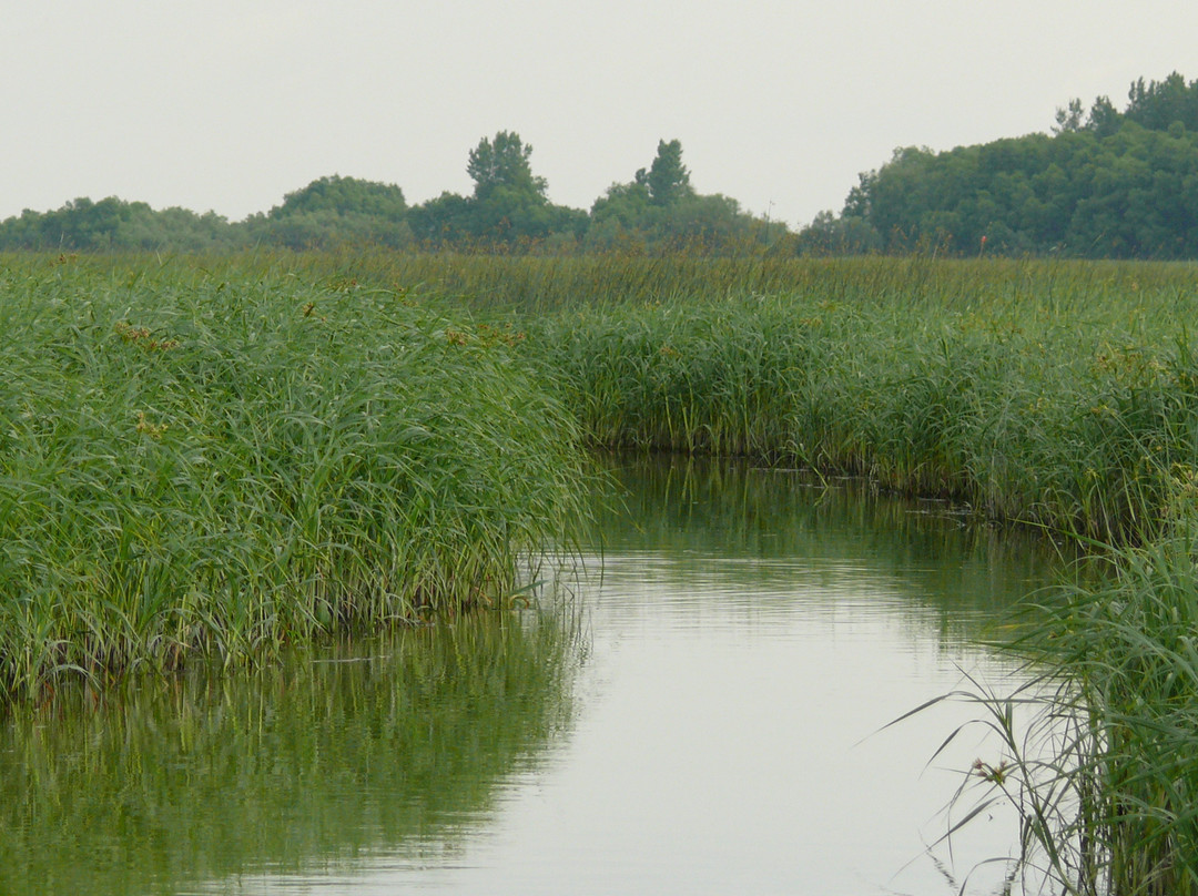 Balades en bateau - Gite du Maudit Francais-Pierreville必去景点