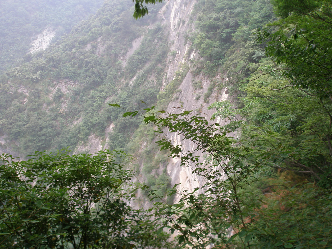 金丝峡国家森林公园景点图片