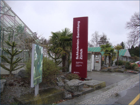 Zurich Succulent Plant Collection-苏黎世必去景点