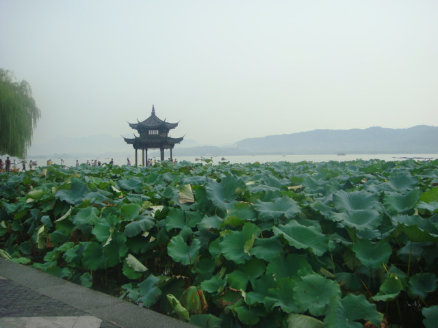 西湖-杭州市必去景点