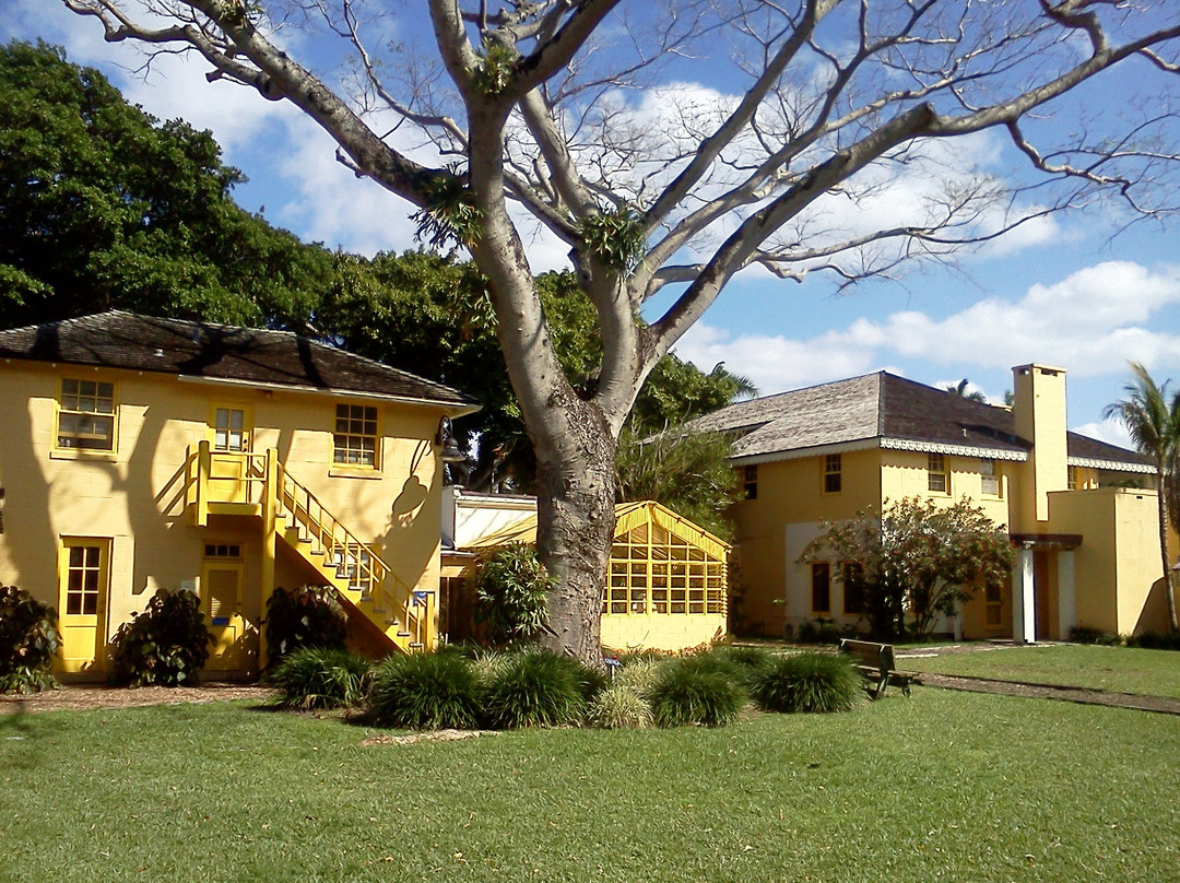 Bonnet House Museum and Gardens-劳德代尔堡必去景点