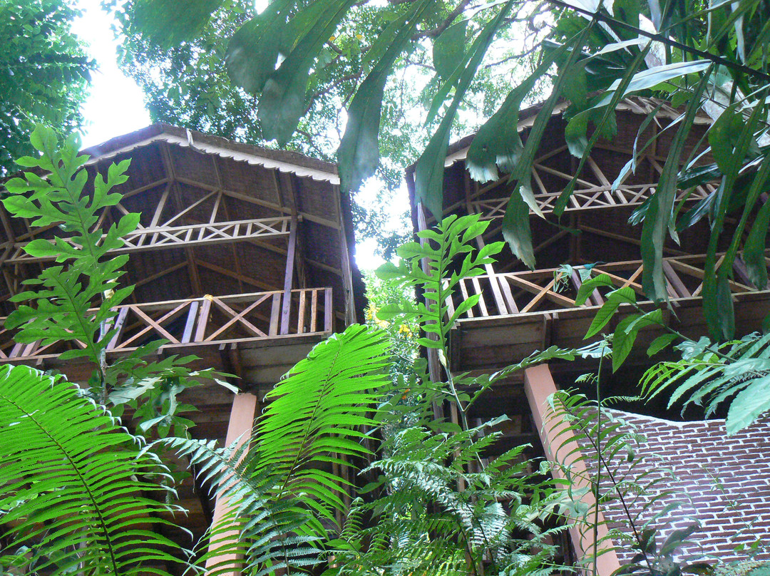 Green Hill Guesthouse & Sustainable Jungle Trekking
