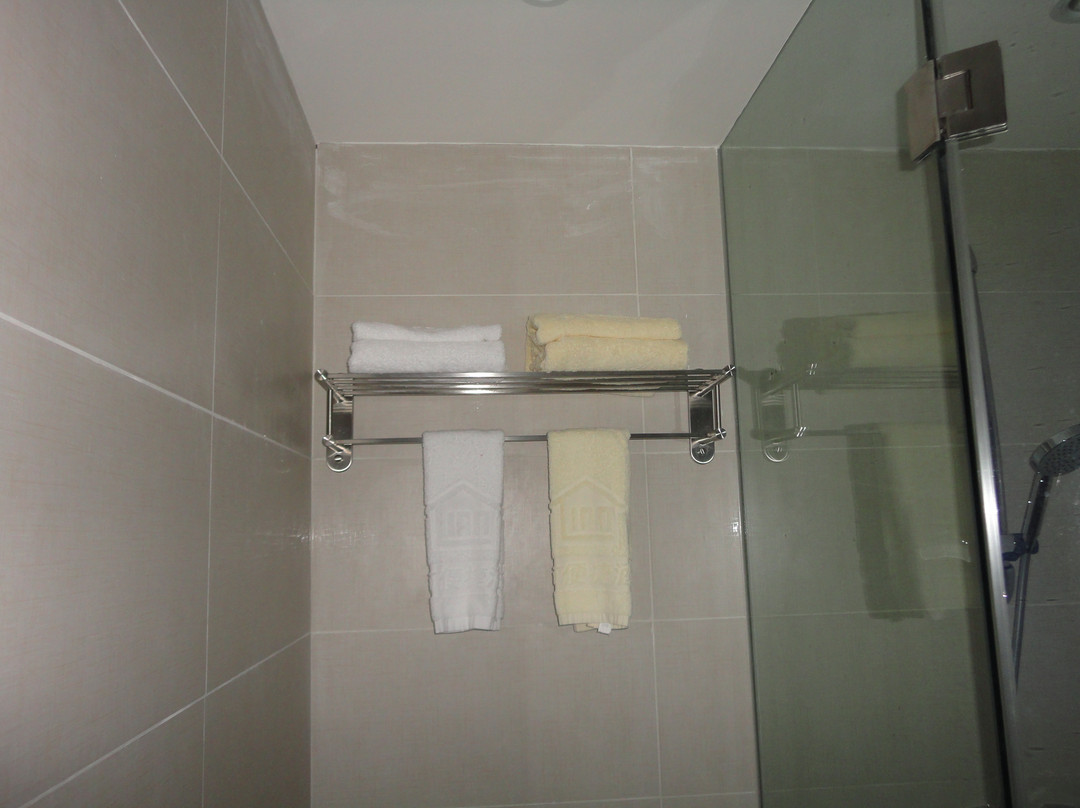 南宁维也纳酒店南湖公园店主图