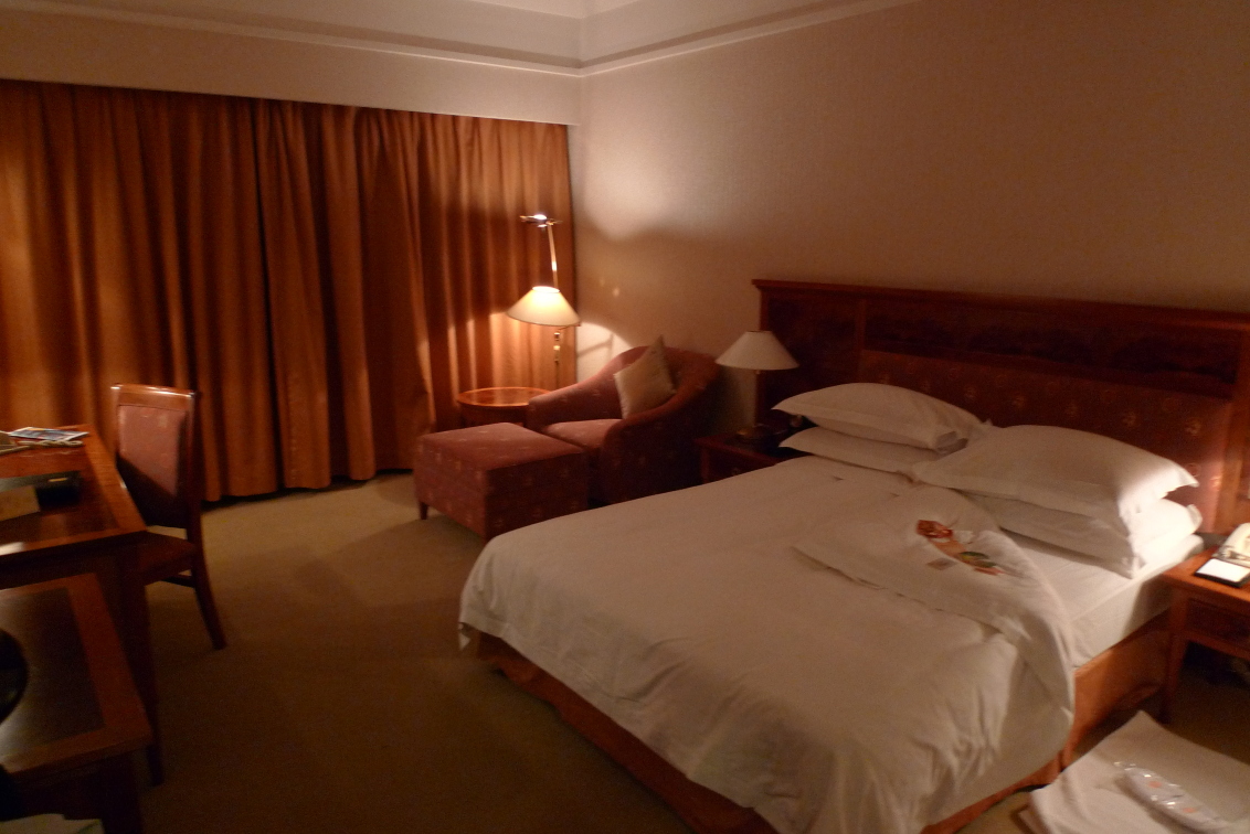 亚洲国际大酒店-客卧