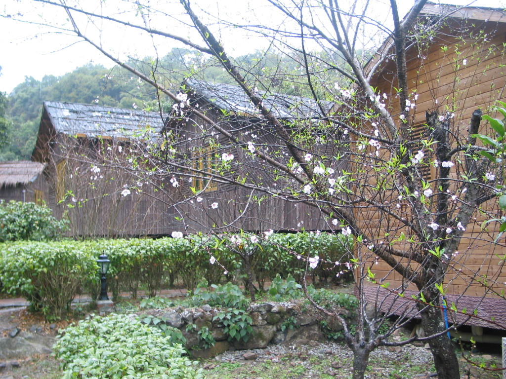 盘龙天堂度假酒店主图