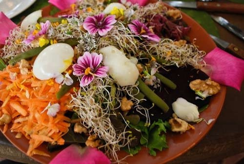 Vallegrande餐馆和美食-Cafe Jardin