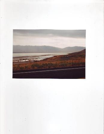 羚羊岛州立公园-Syracuse必去景点