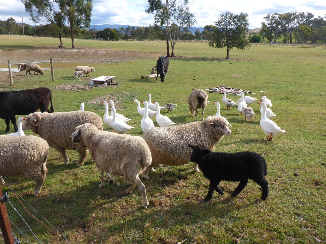 Fawcett Country Cottages Family Farmstay