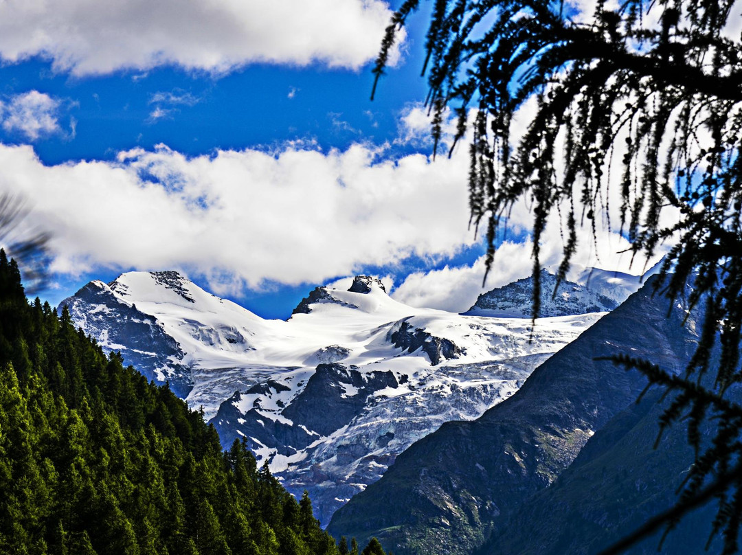 Guide Turistiche di Aosta e Cogne景点图片