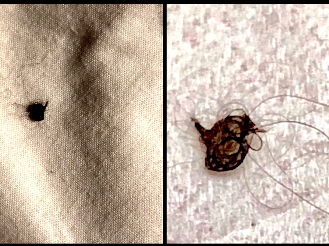 Pacific Plaza Resort主图