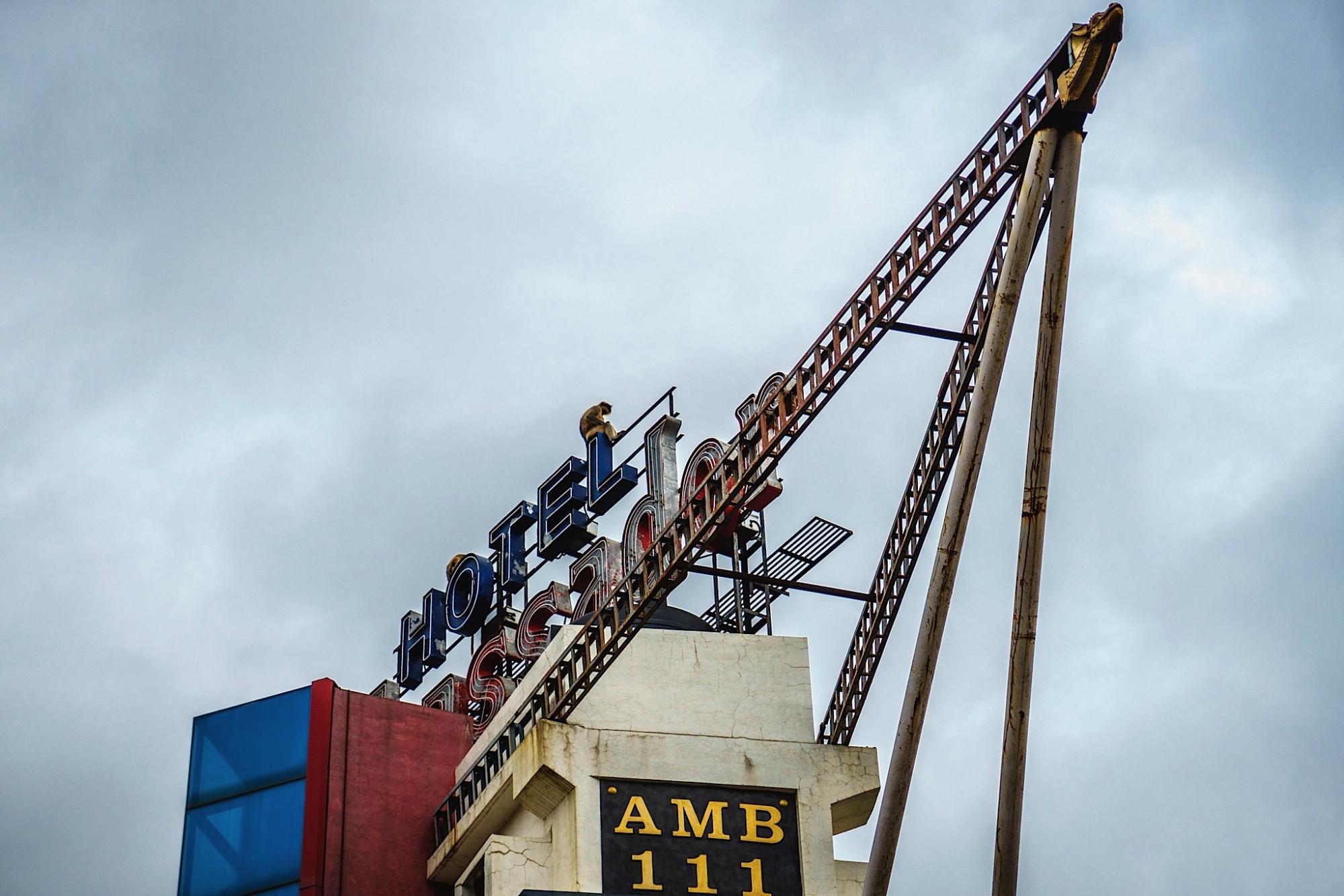 The Ambassador-官方