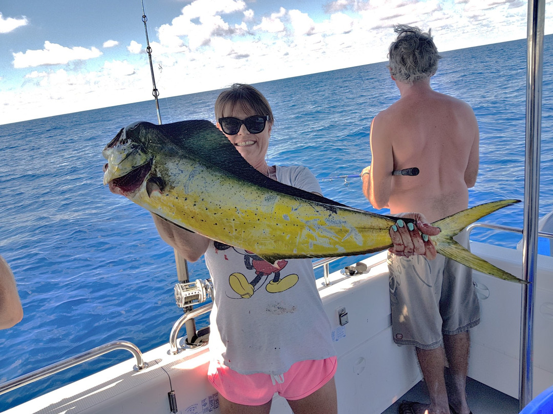 Reef Fish & Dive 1770-Agnes Water必去景点