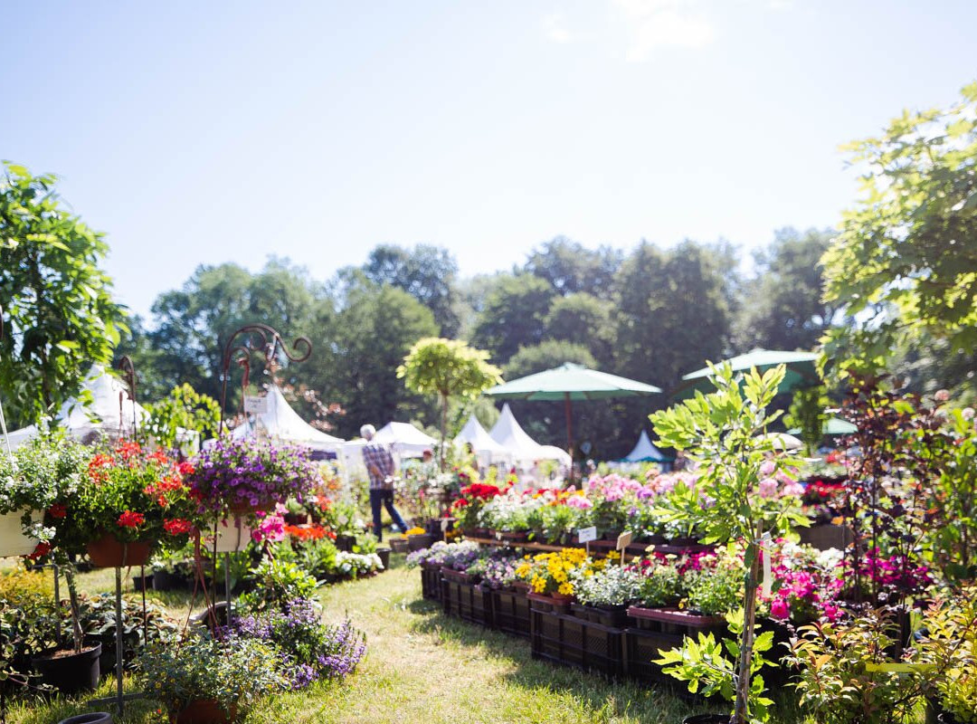 Gartenfestival Park & Schloss Branitz