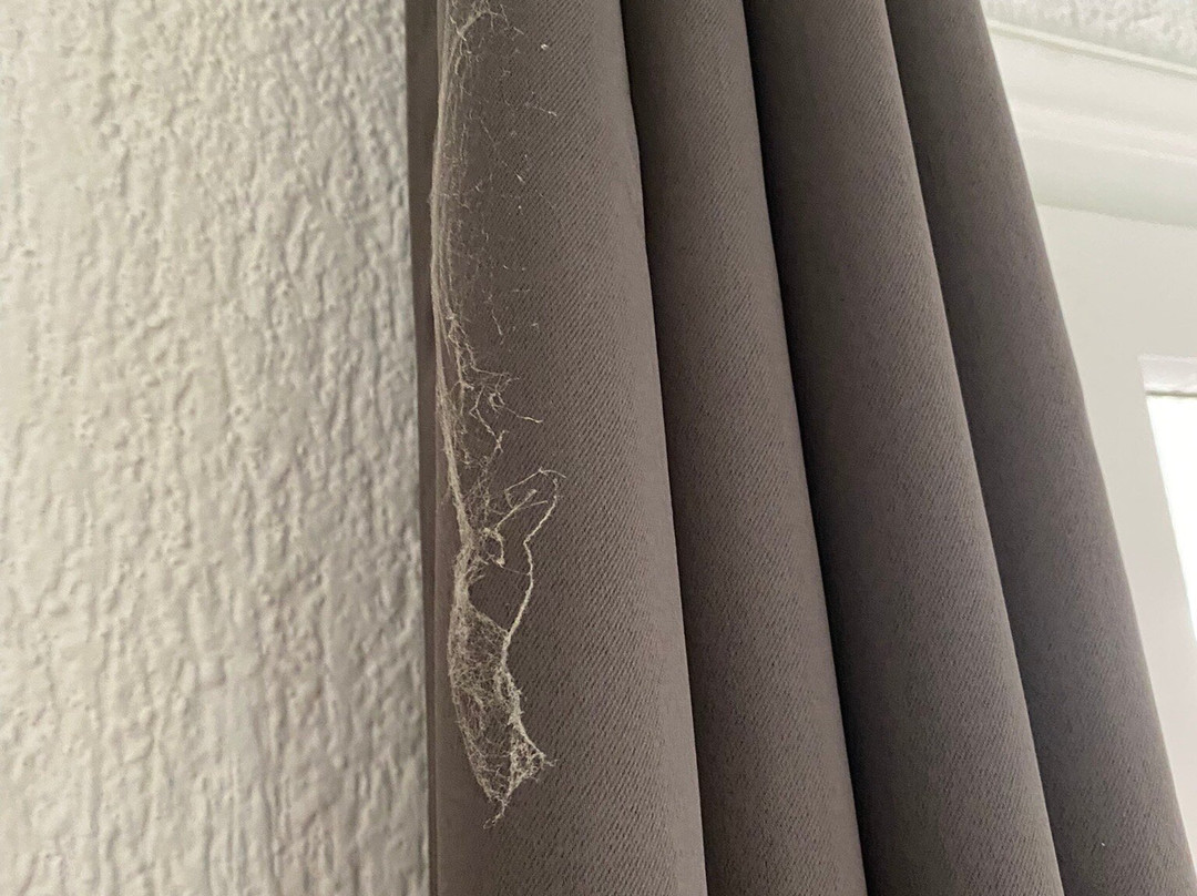 Blue Mountain Guesthouse Arachova主图