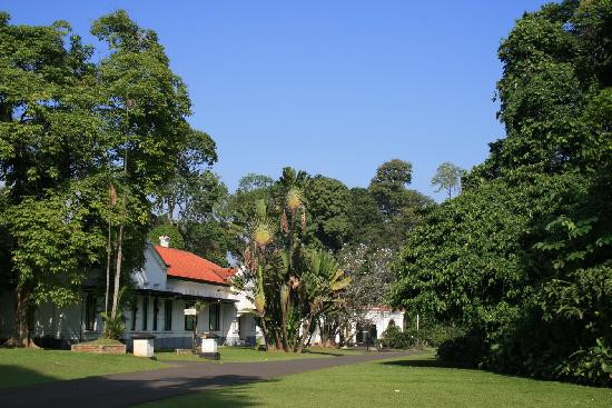 Kebun Raya Bogor-茂物必去景点