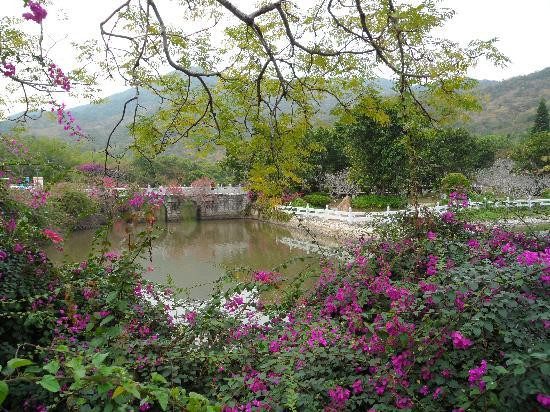 南山寺景点图片