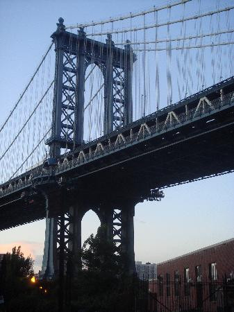 丹波区-布鲁克林必去景点