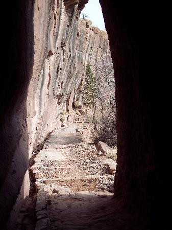 White House Ruins Trail-Chinle必去景点