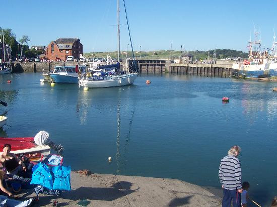 Padstow Harbour-帕兹托必去景点