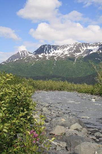 Exit Glacier Guides - Day Tours-苏厄德必去景点