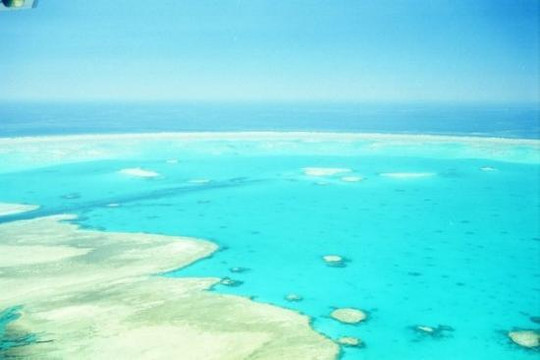 格列夫人岛-马斯格雷夫夫人岛必去景点