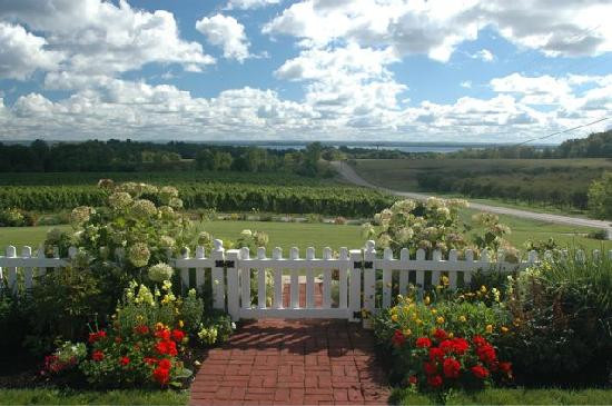 Brys Estate Vineyard & Winery-特拉弗斯城必去景点