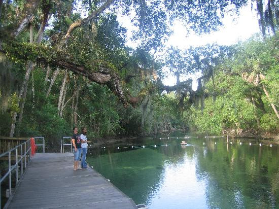 Blue Spring State Park-橙县必去景点