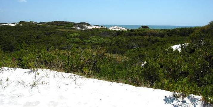 T.H. Stone Memorial St. Joseph Peninsula State Park-Port Saint Joe必去景点