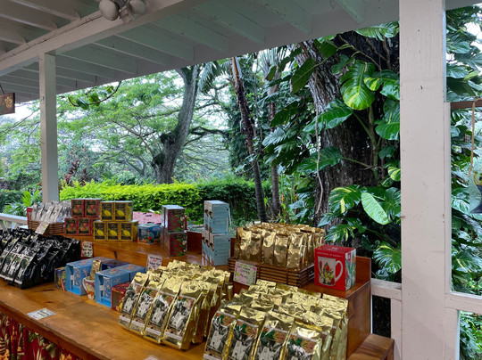 North Shore Beach Bus-火奴鲁鲁必去景点