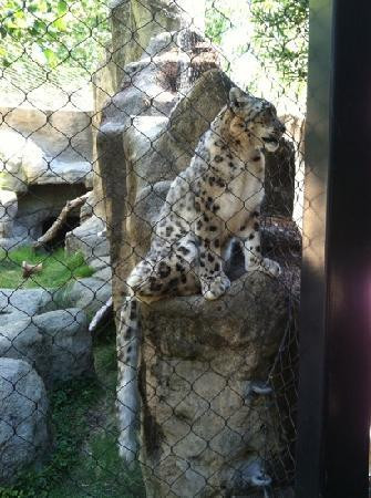 Sacramento Zoo-沙加缅度必去景点