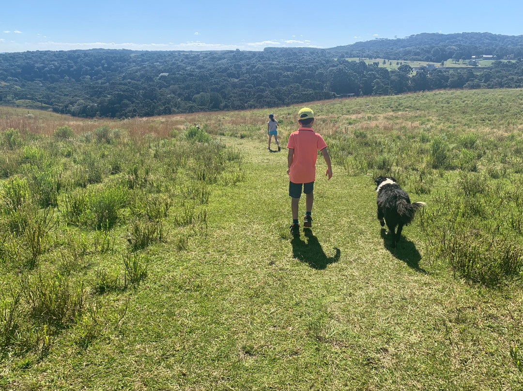 Cachoeira do Tio França-Cambará do Sul必去景点